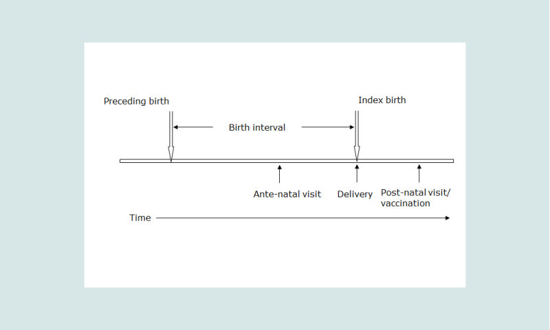 Figure 1. An idealized birth interval with possible points of contact with the health services.